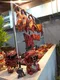 carousel chooser